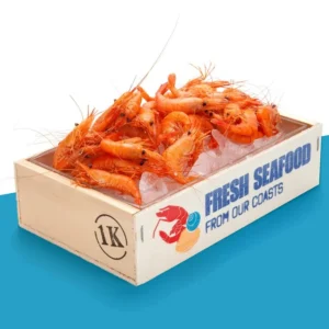 Shrimp Box