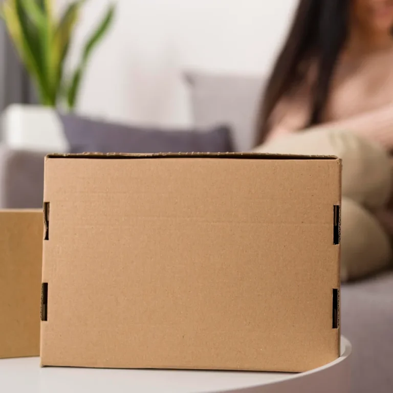 Boxboard Mailer Box_1