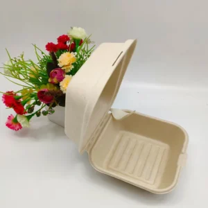 Biodegradable Burger Boxes
