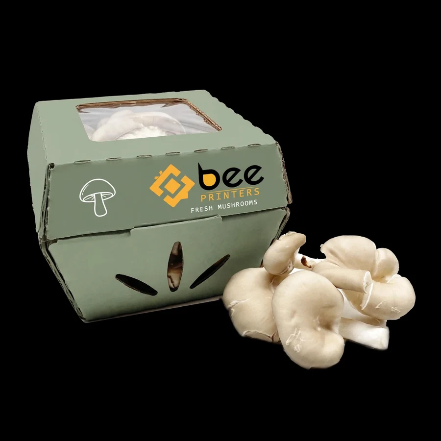 Mushroom Packaging